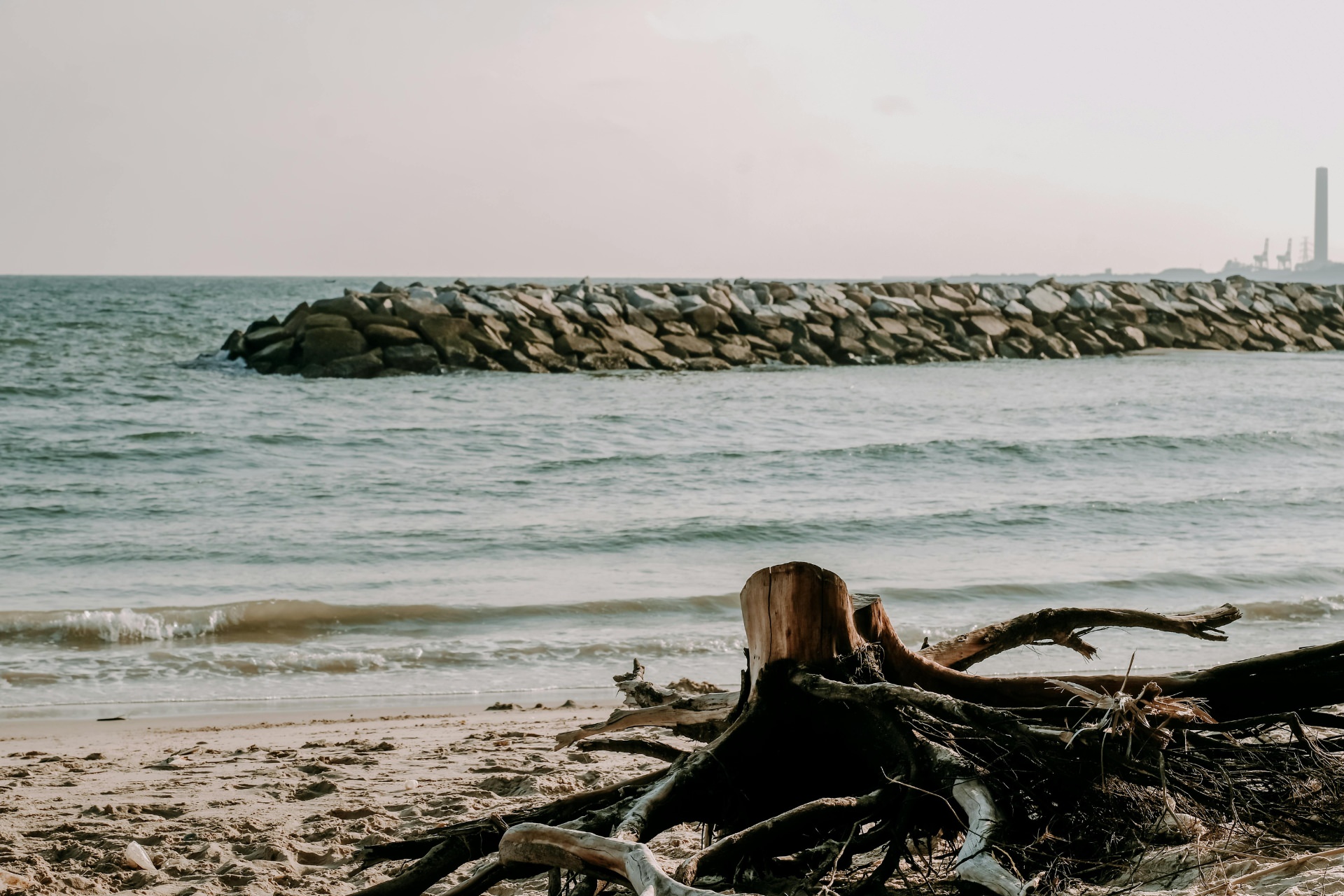 Coastal scene